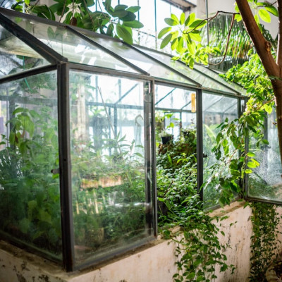 Orto botanico di Parma